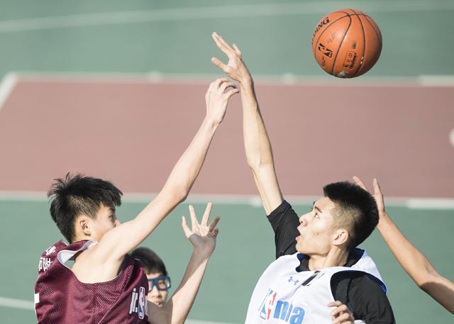 恩智：她不可逆转2020